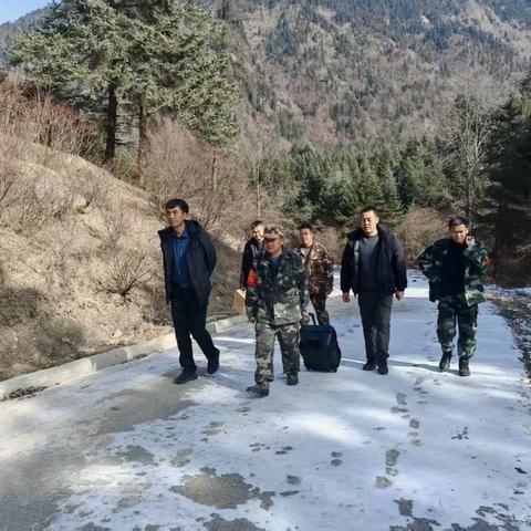 沙滩保护站开展林长巡林、元旦节前“四防”安全大检查工作