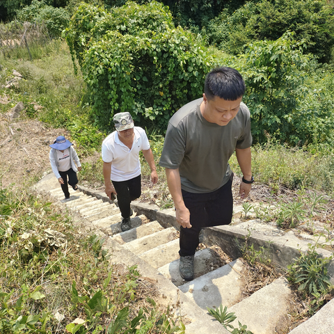 通什镇南定村委会提前完成保粮任务