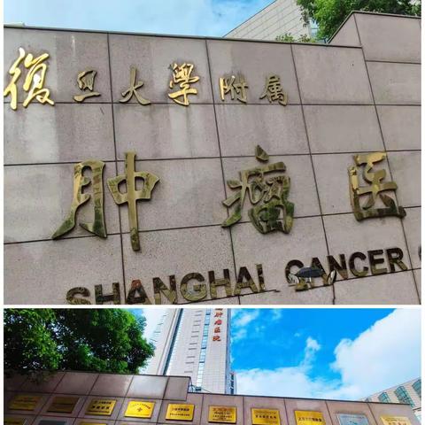 复肿学习心得——乳腺肿瘤内科