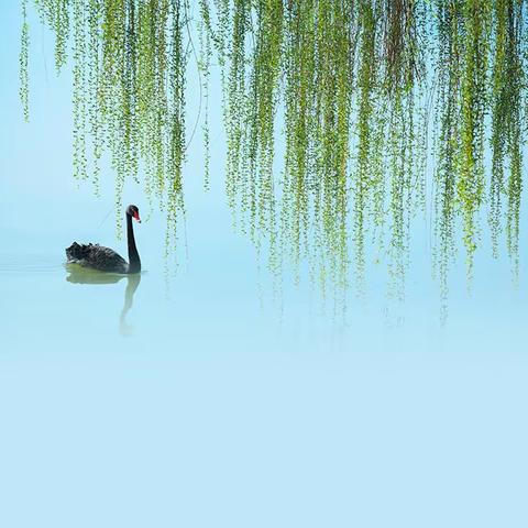 读《水浒传》有感~马红静