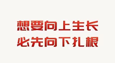 【卢夏薇】学所以益才，砺所以致刃——2023年磐安县新教师入职培训