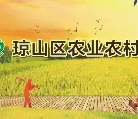 琼山区农业农村局联合海口市农技中心等单位在旧州镇举办第二十届科技活动月农业科技下乡活动