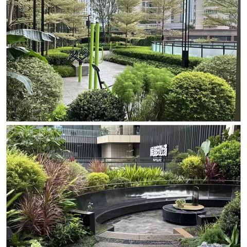 华润置地中山府案场保洁2024.9月份工作汇报