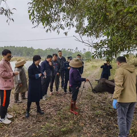 省疫控中心与省畜牧推广站专家组到我市指导畜牧兽医行业防寒工作