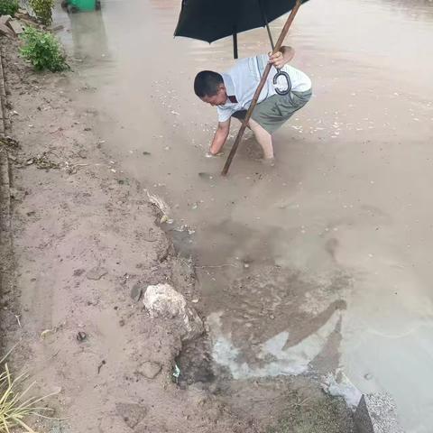 清理堵塞排水沟，保障居民出行安全