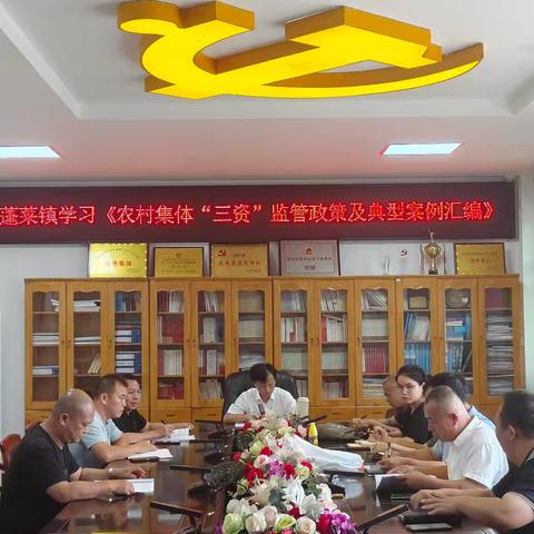 蓬莱镇学习《农村集体“三资”监管政策及典型案例汇编》