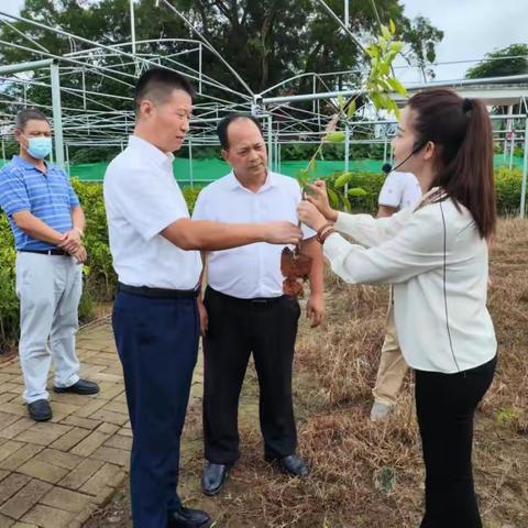 推进观珠沉香产业高质量发展，助力群众致富——市委常委、常务副市长王长青一行到沙垌沉香墟开展经济社会发展情况调研