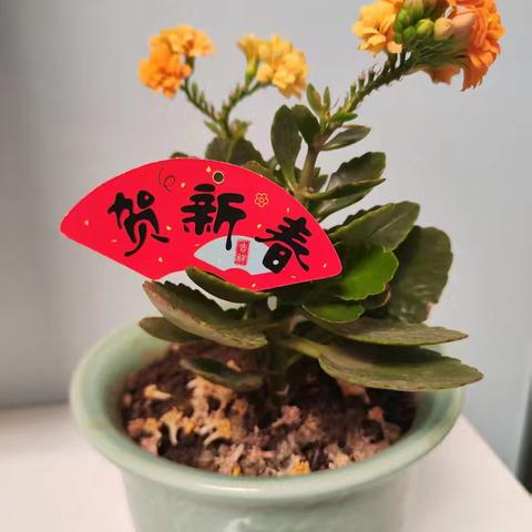 天择公司庆新春职工摄影书画展