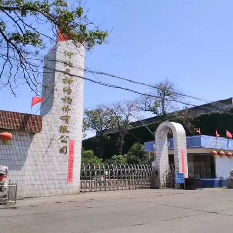 天择公司“巾帼力量”先进女职工事迹展播（2）