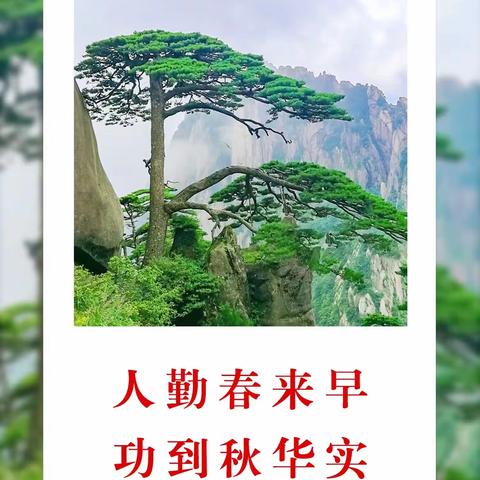 河南康盈环保科技有限公司辉县项目部工作汇报（7月27号）