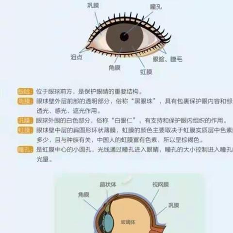 正坐姿，防近视—胡桥路幼儿园视力保护宣传教育