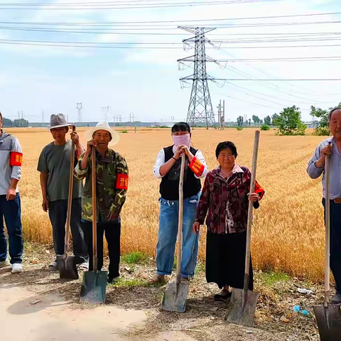 躬身田野护粮安 代表履职助“三夏” ——岳村镇人大代表一线助力粮食安全保卫战