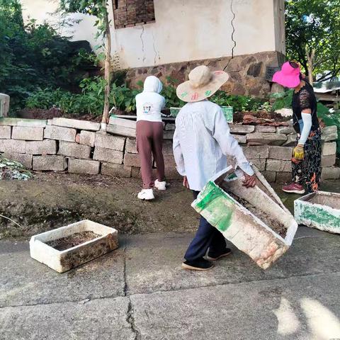 共建整洁家园：房前屋后环境整治进行时