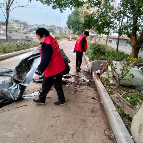 环境卫生整治中的志愿力量