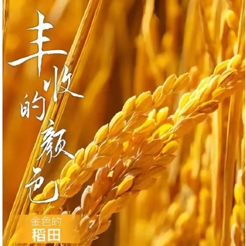 李权庄利客来👉秋季丰收节，丰收季节助农购，蔬果粮油庆丰收🌾🌾🌾