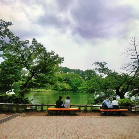 日本之旅（初到东京）