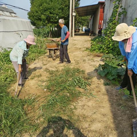 曲堤街道南邢村常态化开展人居环境整治活动