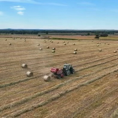 【红石榴微课堂】铸牢中华民族共同体意识应知应会知识（第一百七十二讲）