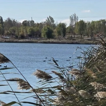 【红石榴微课堂】铸牢中华民族共同体意识应知应会知识（第一百八十一讲）