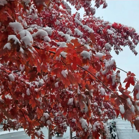 【红石榴微课堂】铸牢中华民族共同体意识应知应会知识（第一百八十二讲）