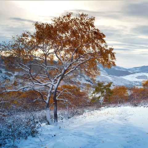 【红石榴微课堂】铸牢中华民族共同体意识应知应会知识（第一百八十四讲）