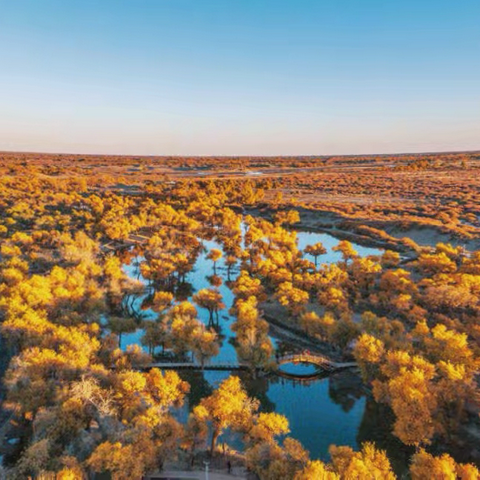 【红石榴微课堂】铸牢中华民族共同体意识应知应会知识（第一百八十八讲）