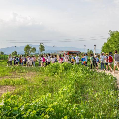 “探秘大自然·感受绿生活” —— 桃园小学五年四班暑期实践研学活动