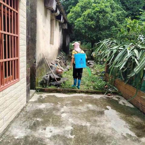 光大村开展“预防登革热”爱国卫生主题党日活动