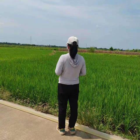 龙华区龙泉镇大气污染防治工作日报