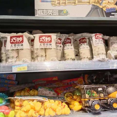 龙华区龙泉镇禁塑工作日报