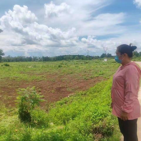 龙华区龙泉镇大气污染巡查日报