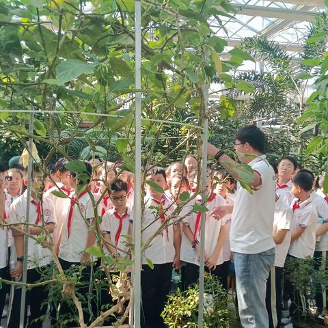 “红领巾爱劳动 乡村振兴我见证”——丛台区丛台小学红领巾研学实践活动