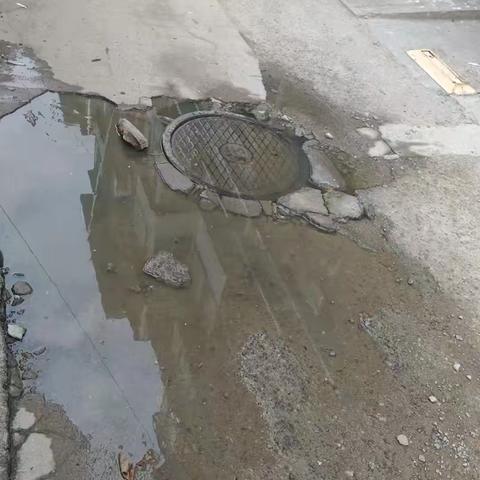 社区协调显担当，为民服务暖人心