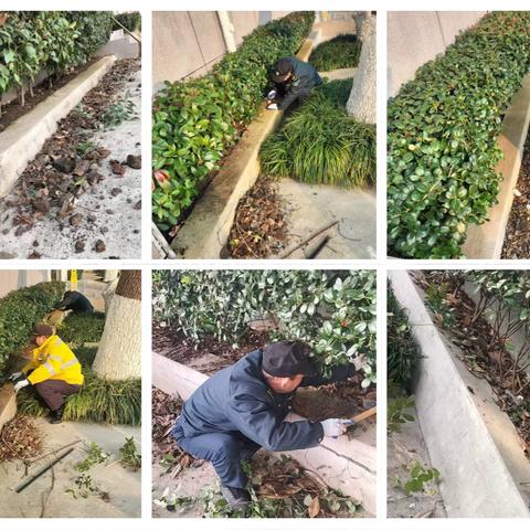 宣城市城建物业服务有限公司工作动态（12月2日-12月29日）