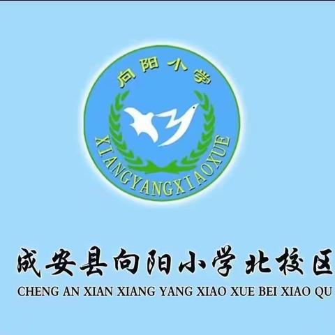 冬日暖阳，课堂芳华 ——向阳小学北校区语文公开课《太阳》