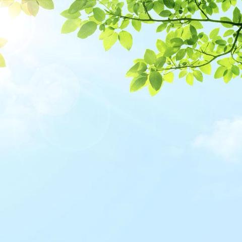 全面覆盖 协同联动——胜利蒙古族乡中心小学安全、德育联合检查