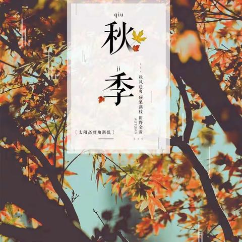 直而不肆，光而不耀——康都物业河务局项目部2023年 9月21日工作汇报