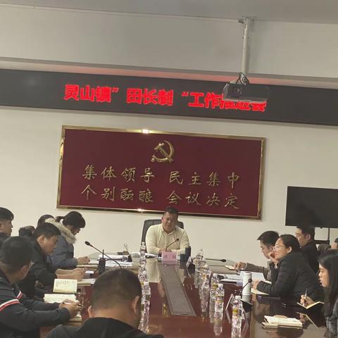 灵山镇“田长制”工作推进会