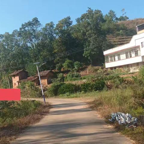 上溪村文明实践站开展环境卫生整治行动