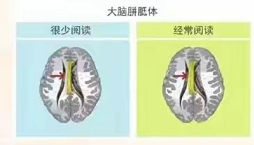 9-12岁亲子共读陪跑活动