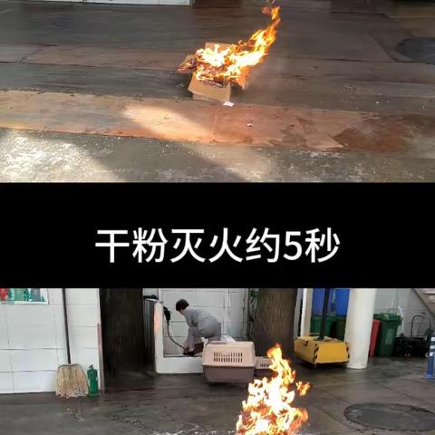 水基与干粉灭火效果对比