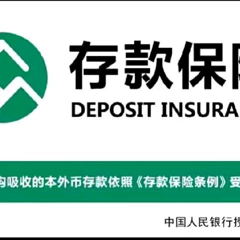 建行平凉西街支行开展存款保险宣传活动