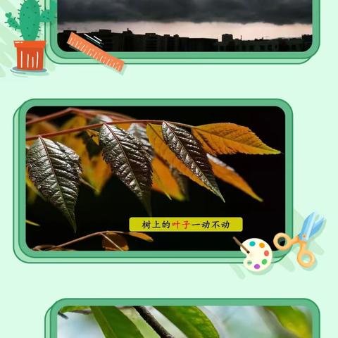 高新校区剑桥班第十二周总结