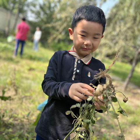 秋日里的小确幸