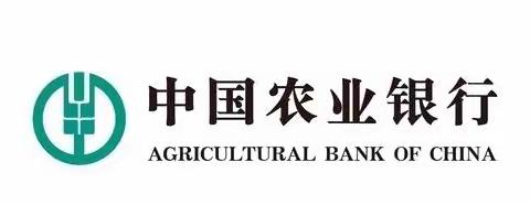 中国农业银行东营分行新员工培训班简报（2023.08.03）