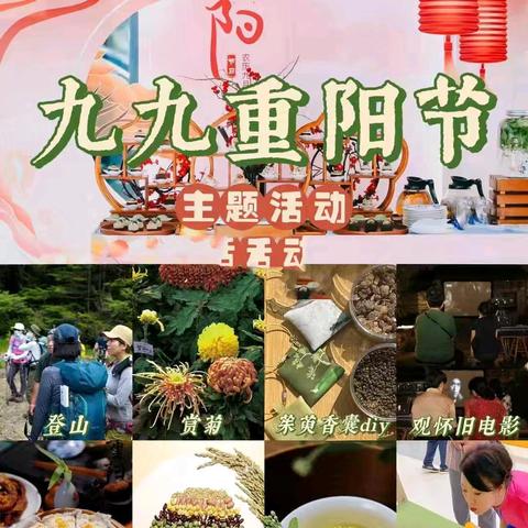 九九丹桂香，岁岁话重阳—大名县组织开展“敬老月”系列活动（一）