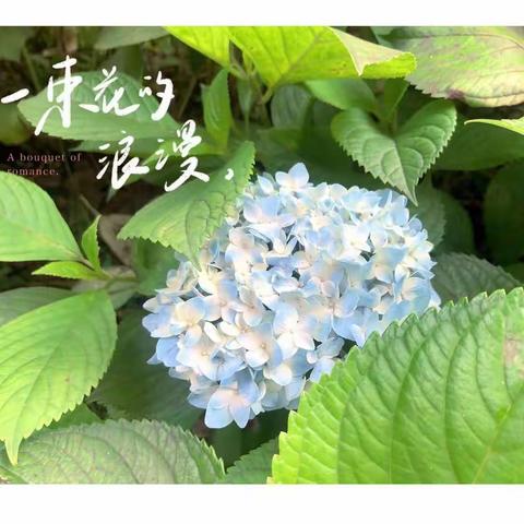 【大抓落实年 高质量发展】 春风送暖意 琼芳染新颜