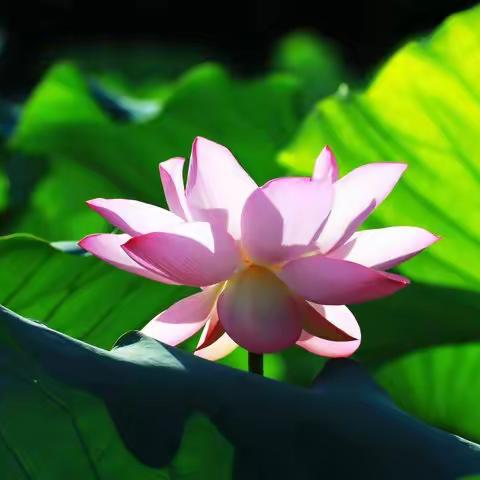 2023年星空国际和创物业服务中心7月份月报