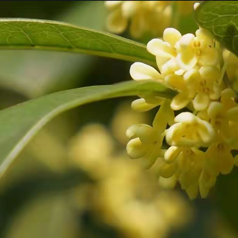 2023年星空国际和创物业服务中心9月份月报