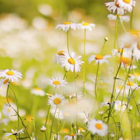 2023年星空国际和创物业服务中心8月份月报